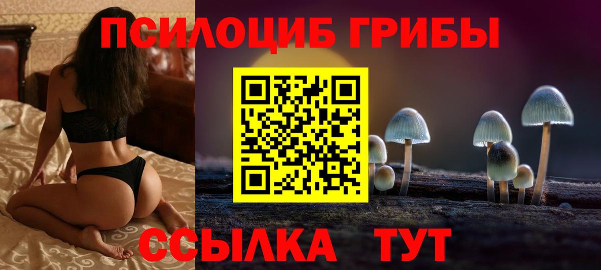 как найти наркотики  Галлюциногенные грибы GOLDEN TEACHER  Вход с VPN  Петропавловск-Камчатский 